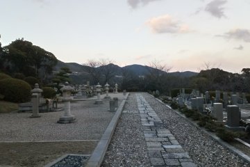 View from the older temple on the graveyard