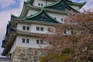 높이 솟은 성 바로 앞에 있는 환상적인 벚꽃 나무