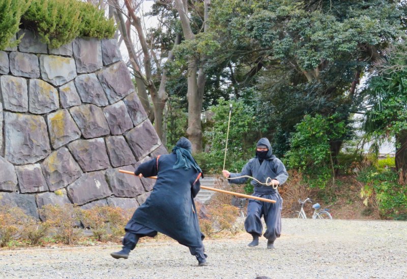 Ninja battle at entrance to castle
