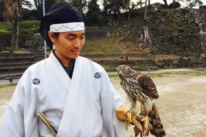 Ieyasu promoted the art of falconry