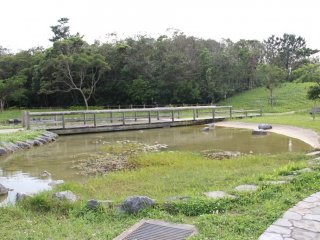 Здесь есть небольшой тихий пруд с мостиком - интересное место для прогулки