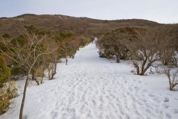 A hiking path leads upward from the Makinoto Parking Area to the Kuju mountains