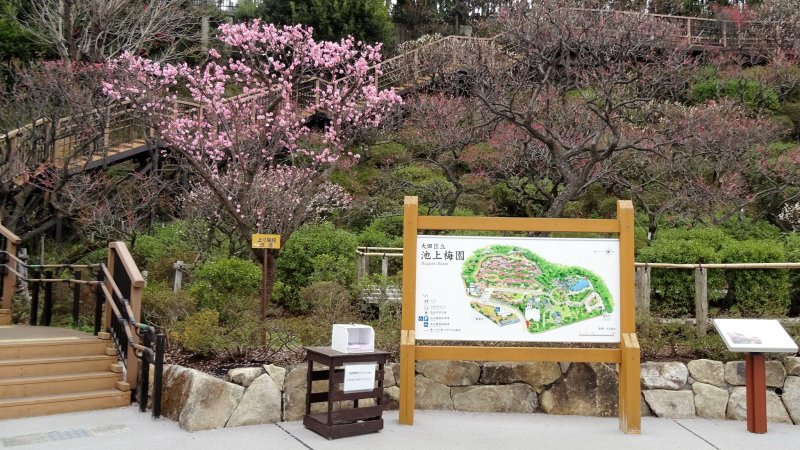 สวนพลัมอิเคะกะมิ ไบเอ็น (Ikegami Baien) เป็นสวนที่มีต้นพลัมญี่ปุ่นประมาณ 470 ต้น