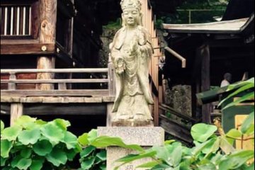 An image of Kannon in the garden between monks' quarters and temple