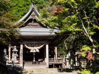 Ngôi đền ít được viếng thăm này nằm trong khu rừng bên trong núi Aso