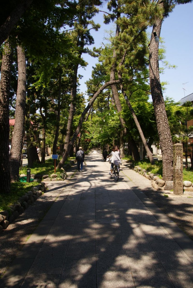 The road leading to the main entrance to the temple grounds
