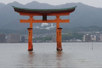 ประตูโทริสีแดงของศาลเจ้านี้เป็นสัญลักษณ์อันโดดเด่นของประเทศญี่ปุ่น รองจากภูเขาฟูจิ ประตูสูง 16.6 เมตร สร้างจากลำต้นของต้นการบูรหรือแคมเฟอร์ 