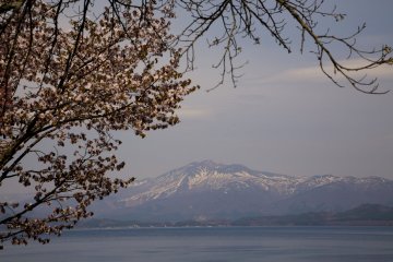 Cherry blossoms create a lovely frame for Lake Tazawa