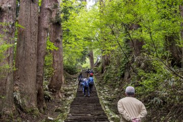 Walking up the steps of Haguro-san can be a challenge but is part of the pilgrimage