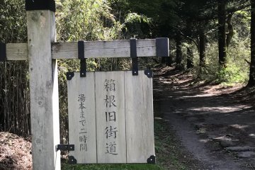 Entrance of The Old Hakone Highway