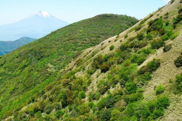 <p>วิวภูเขาฟูจิจากบนยอดโคะมะกะทะเกะ (Komagatake)</p>
