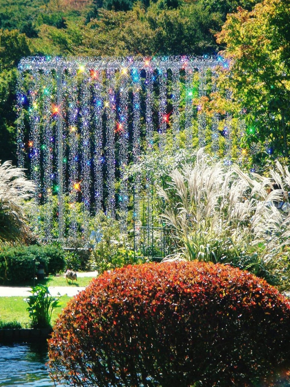 One of the seasonal glass outdoor exhibits