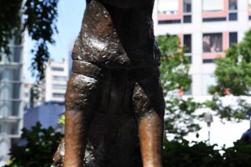 <p>The statue in honor of Hachiko, the loyal dog who waited for his owner at the station every day</p>