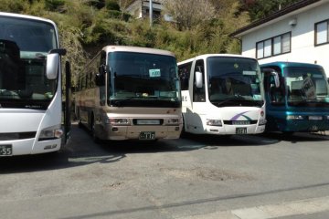 You know this is a popular place when you see several tour buses (on a weekday!) lined up in small parking lots nearby.
