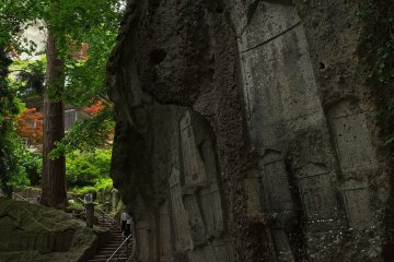 Part of the scenery along the long stairway