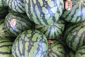 All you can eat watermelon? It exists, at the Yairo Watermelon Festival