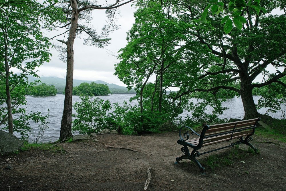 Duduk santai di bangku sambil menikmati keindahan danau