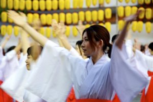 100 shrine maidens dancing