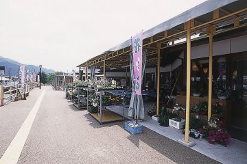 Plants and vegetable stands