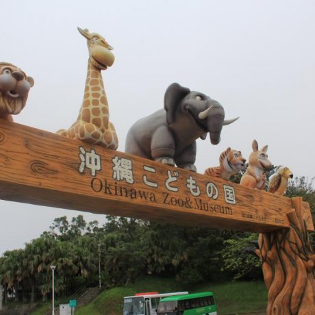 Okinawa Zoo &amp; Museum
