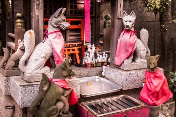 По-японски лиса будет "кицунэ", а вот словом "инари" обозначаются особенные белые лисицы, которые, согласно религии Синто, являются посланниками богов. В общем, "инари" обычно поклоняются как богам риса и земледелия. 