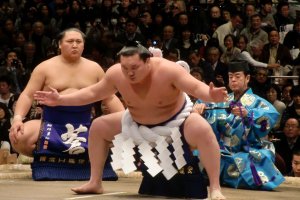 Hakuho performing a yokozuna-only ceremonial dance