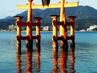 The torii gate is said to 'float' but the reflection on the water in this shot reminded me that the gate's 'roots' were actually quite deep.