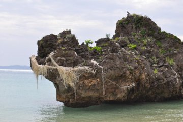 An interesting rock formation where we saw a huge crab climbing up the side. It was about the size of a baseball.