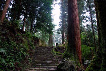 Murō-ji forest staircase
