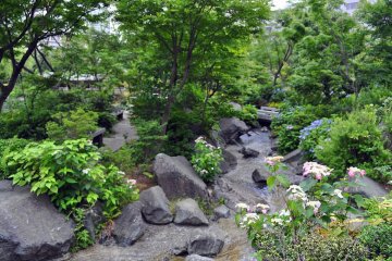 สายน้ำไหลคอเคี้ยวในสวนฮิโนะคิโชะ และคุณยังสามารถเลือกวิธีข้ามมันโดยการเดินข้ามบนสะพาน หรือข้ามบนก้อนหินที่วางอย่างพิถีพิถัน