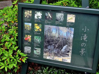 Signs placed around the park let visitors know the names of plants growing in the area.