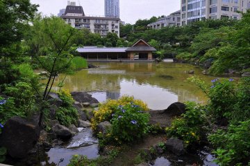A traditional Japanese teahouse overlooks the pond.
