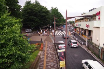 On one end of the bridge is the relaxing life full of greenery at Ueno.