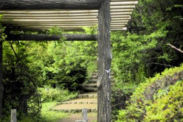 <p>A pathway that leads to a Japanese garden</p>