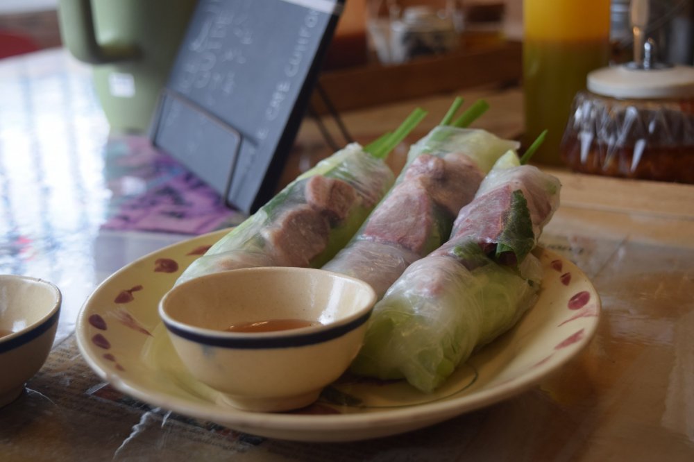 Spring rolls are the perfect light appetizer