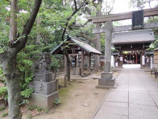 The torii gate of Hikawa Shrine