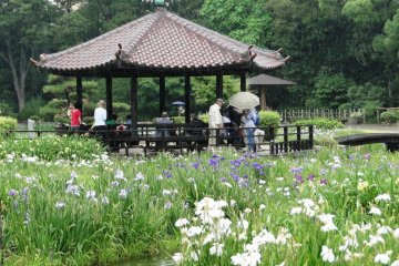 The gazebo at Shirokita Park