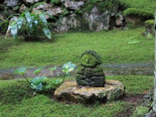 The depth of the moss is testament to the purity of nature in Seiyo