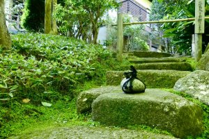 A cute round stone sitting in the middle of stone steps