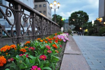 The city has wonderful flower beds that add some nice colour to the city landscape.