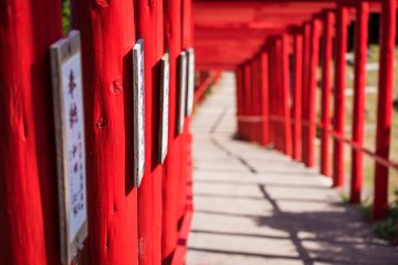 Inside the twisting tunnel of torii