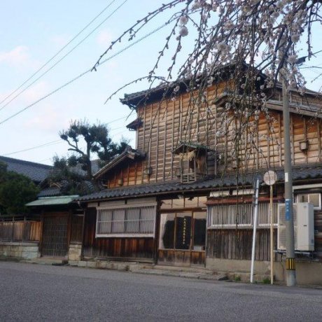 Imayotsukasa Sake Brewery, Niigata