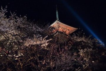Kiyomizu Dera during the Sakura Season