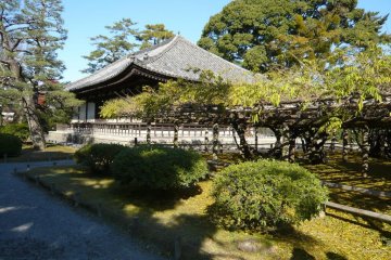 Temple grounds at Byodoin