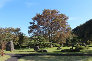 Парк возле Музея кокэси