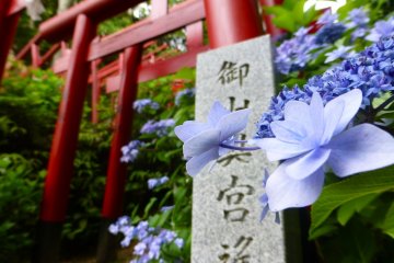 Flowers decorate the entrance to the torii gate walkway