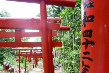 The torii gates are painted bright red with the names of people who have donated money for the gates painted on in black