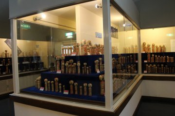 Экспозиция коллекции музея