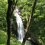 Водопад Акиу