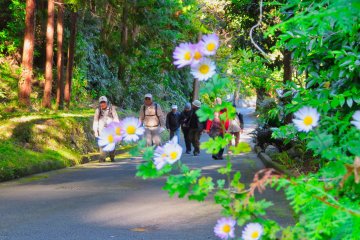 The walking course to Kawamura Castle Ruins Park